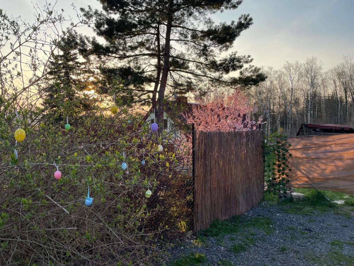 Ferienpark Fox House / Rajec Tisá